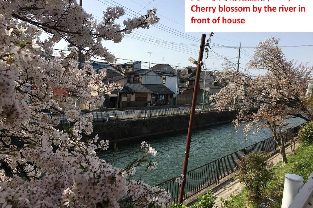 Photo of Others in Higashiyama