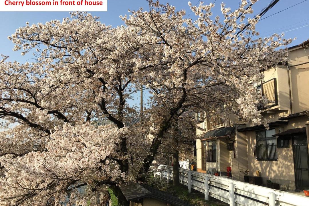 Photo of Others in Higashiyama