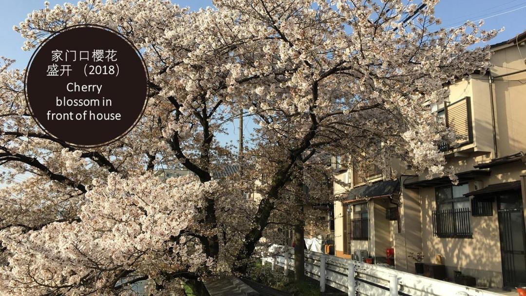 Photo of Others in Higashiyama