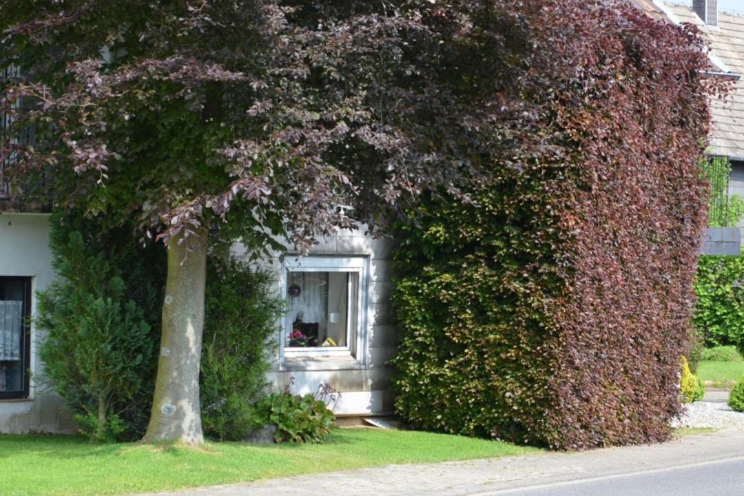 Photo of Buildings in Vossenack