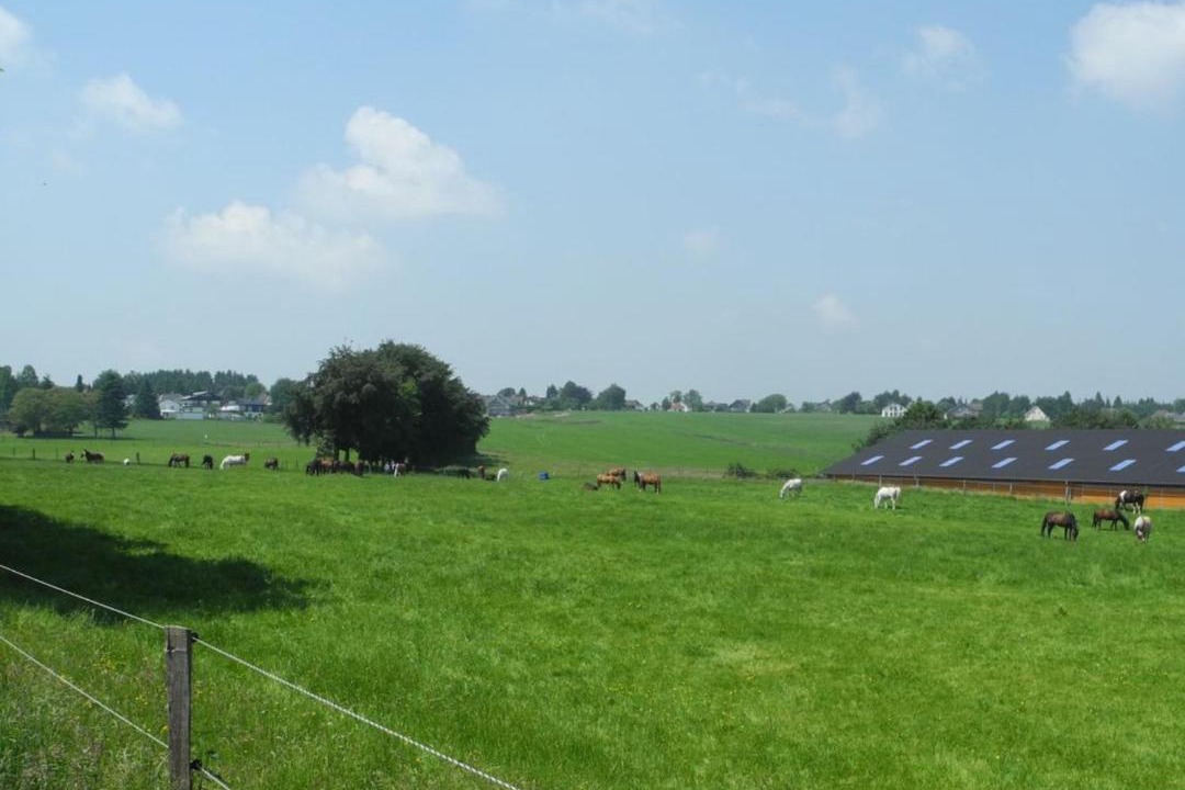 Photo of Others in Vossenack