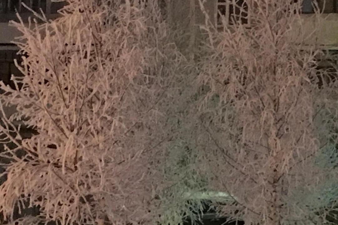 Photo of Outdoor in Chekhov