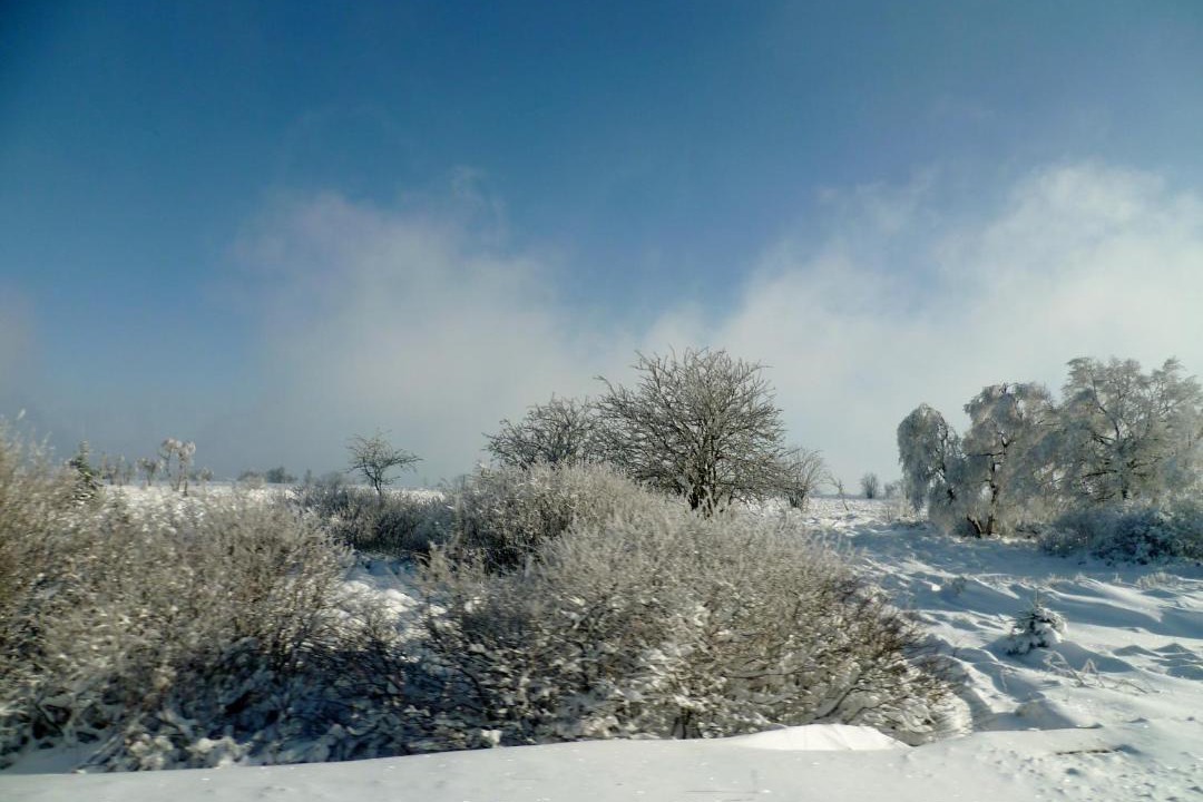 Photo of Outdoor in Ovifat