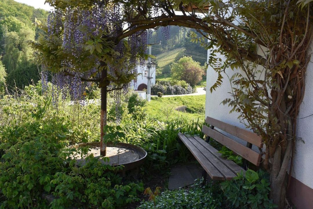 Photo of Others in Durbach