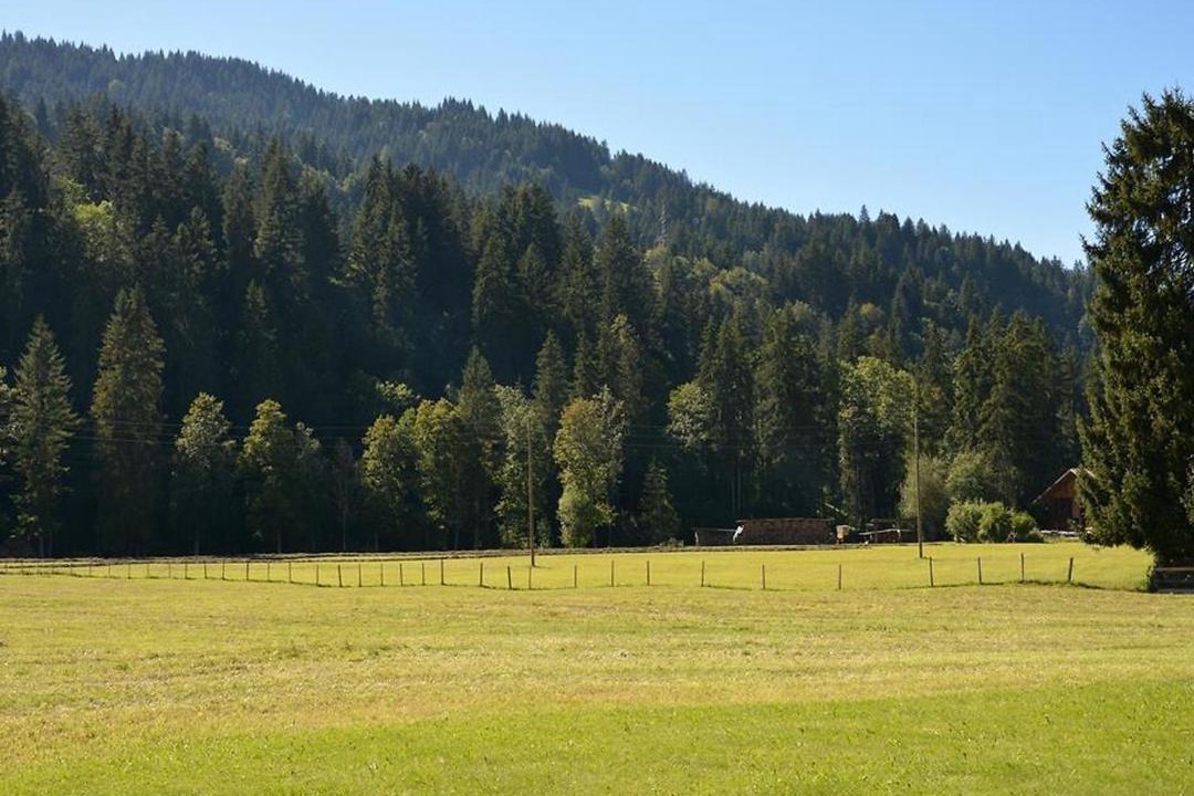Photo of Outdoor in Zweisimmen Nr Gstaad
