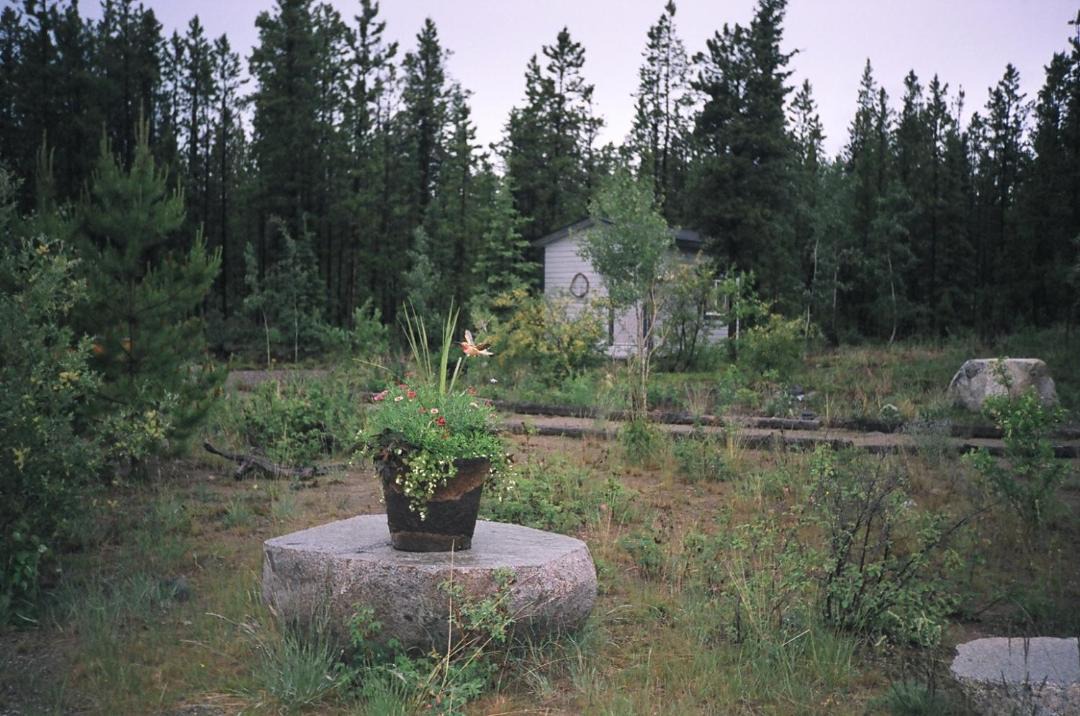 Photo of Others in Whitehorse