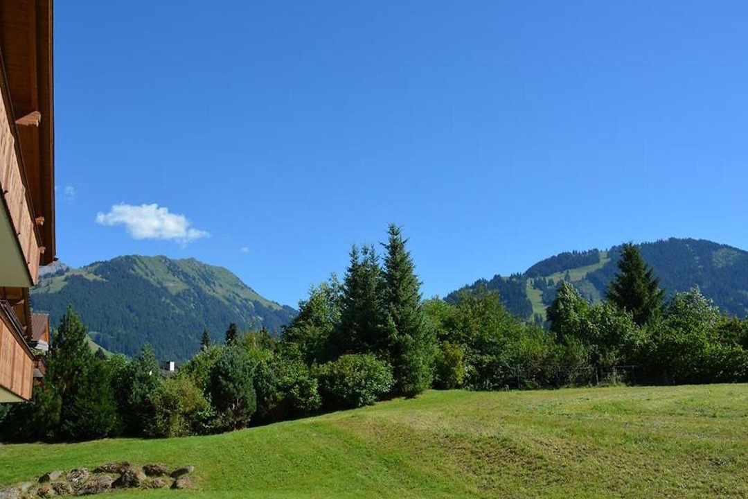 Photo of Others in Zweisimmen Nr Gstaad