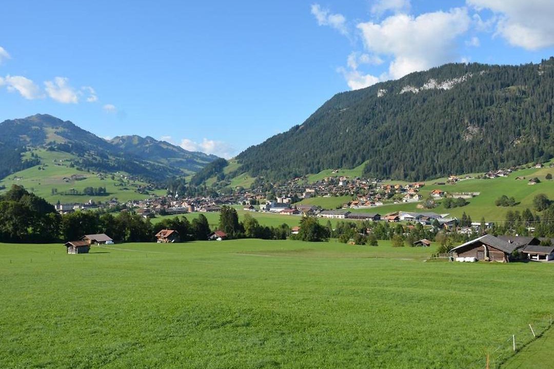 Photo of Others in Zweisimmen