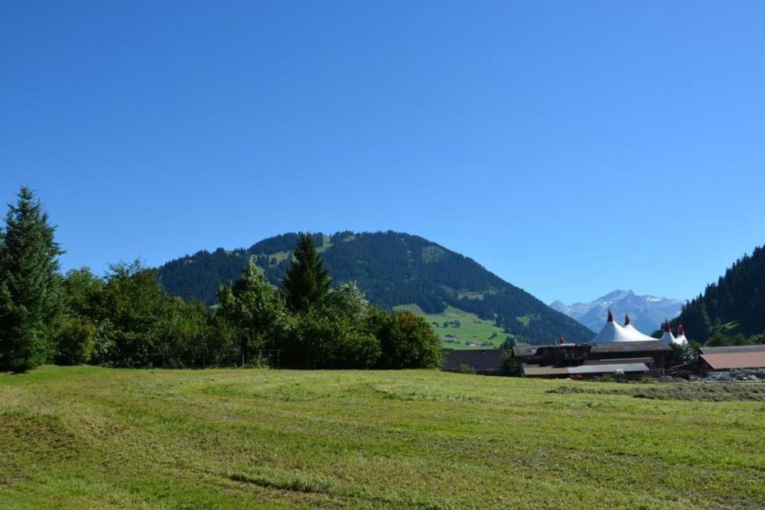 Photo of Others in Zweisimmen Nr Gstaad