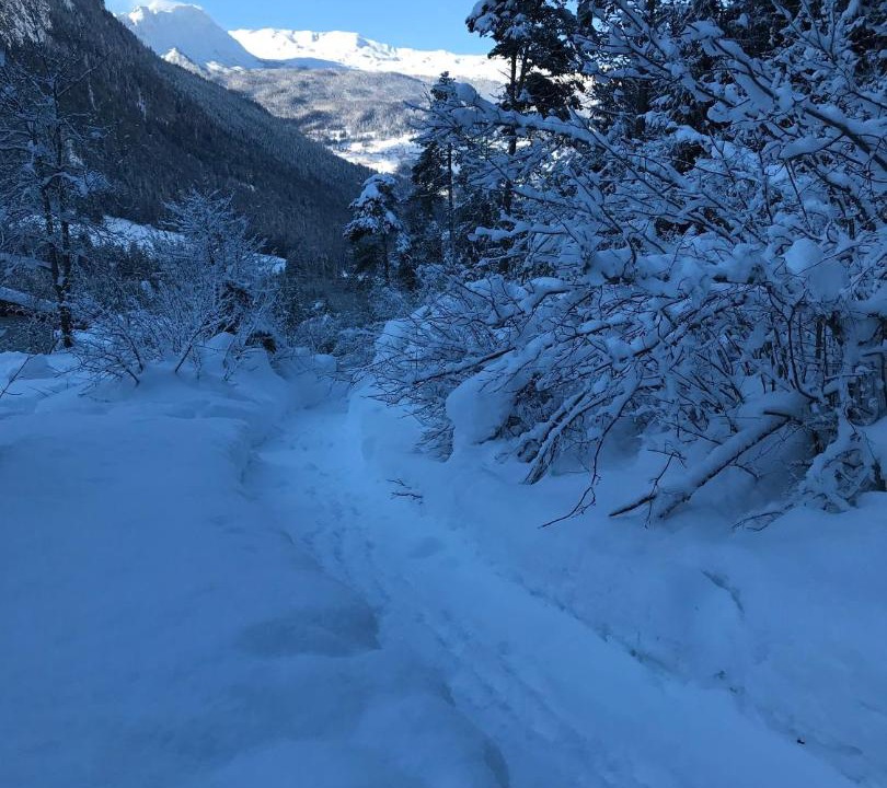 Photo of Outdoor in Surava
