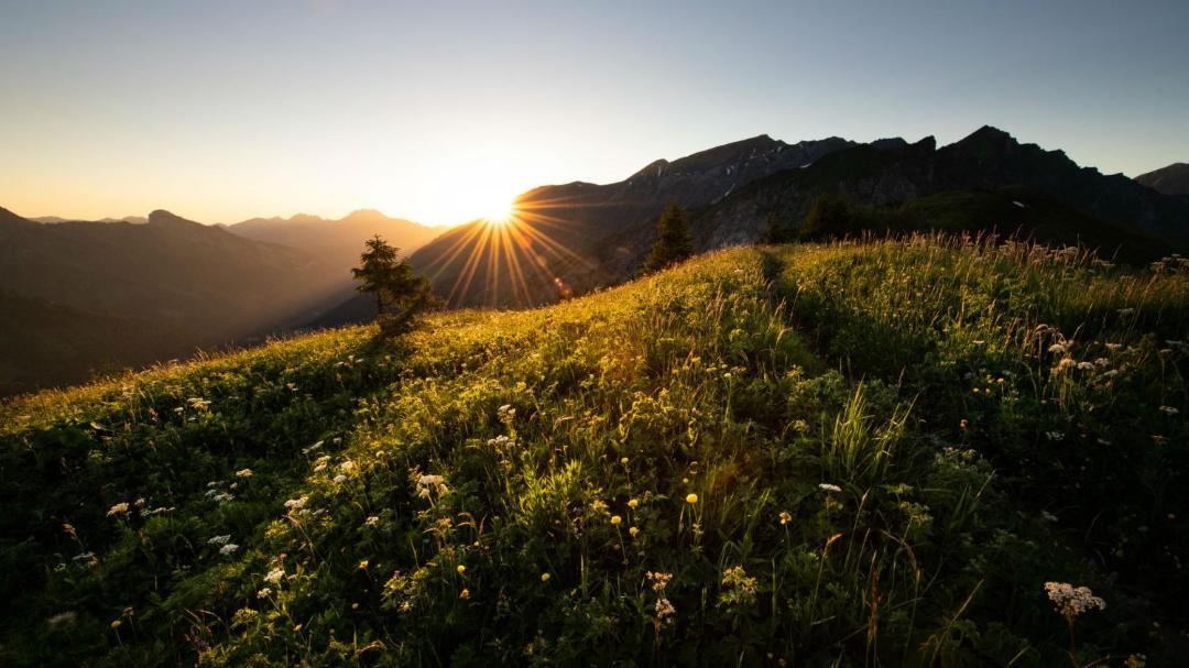 Photo of Outdoor in Champery