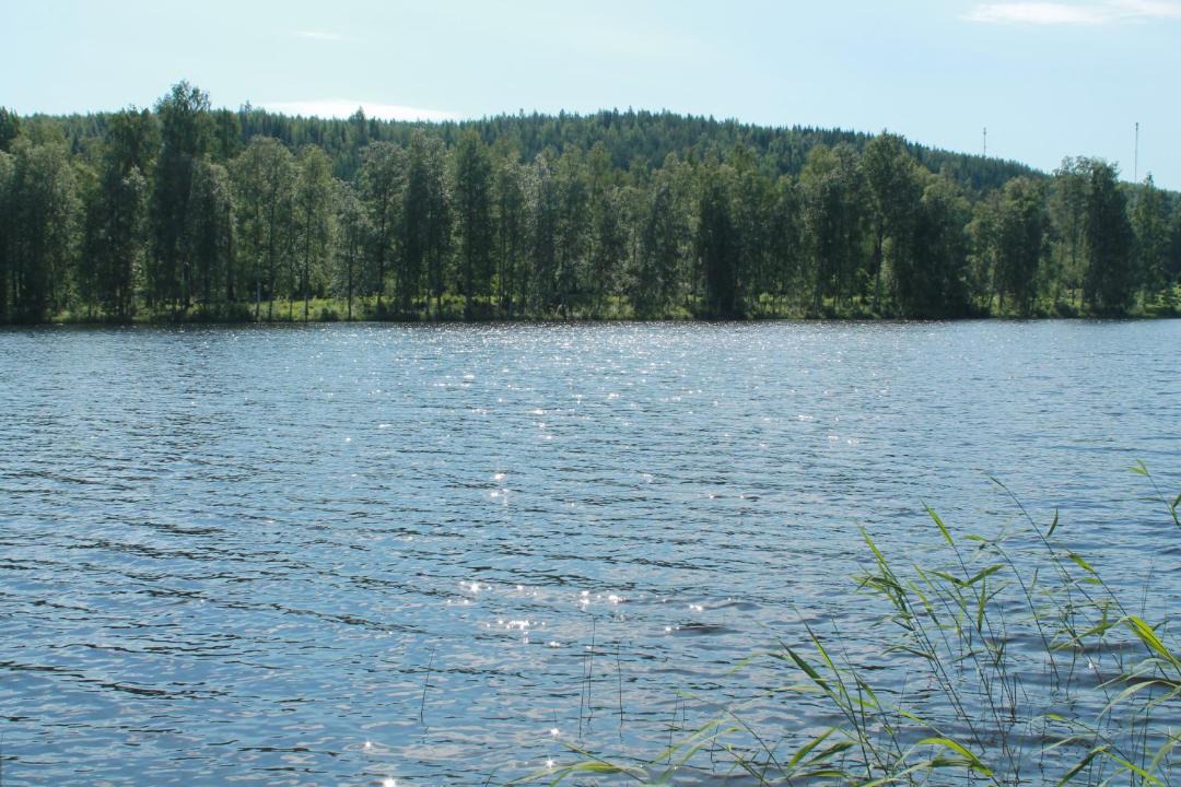 Photo of Others in Enonkoski