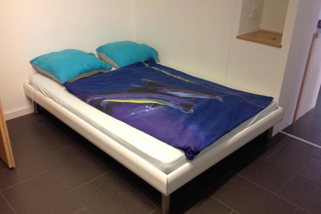 Photo of Bedroom in Meilen District
