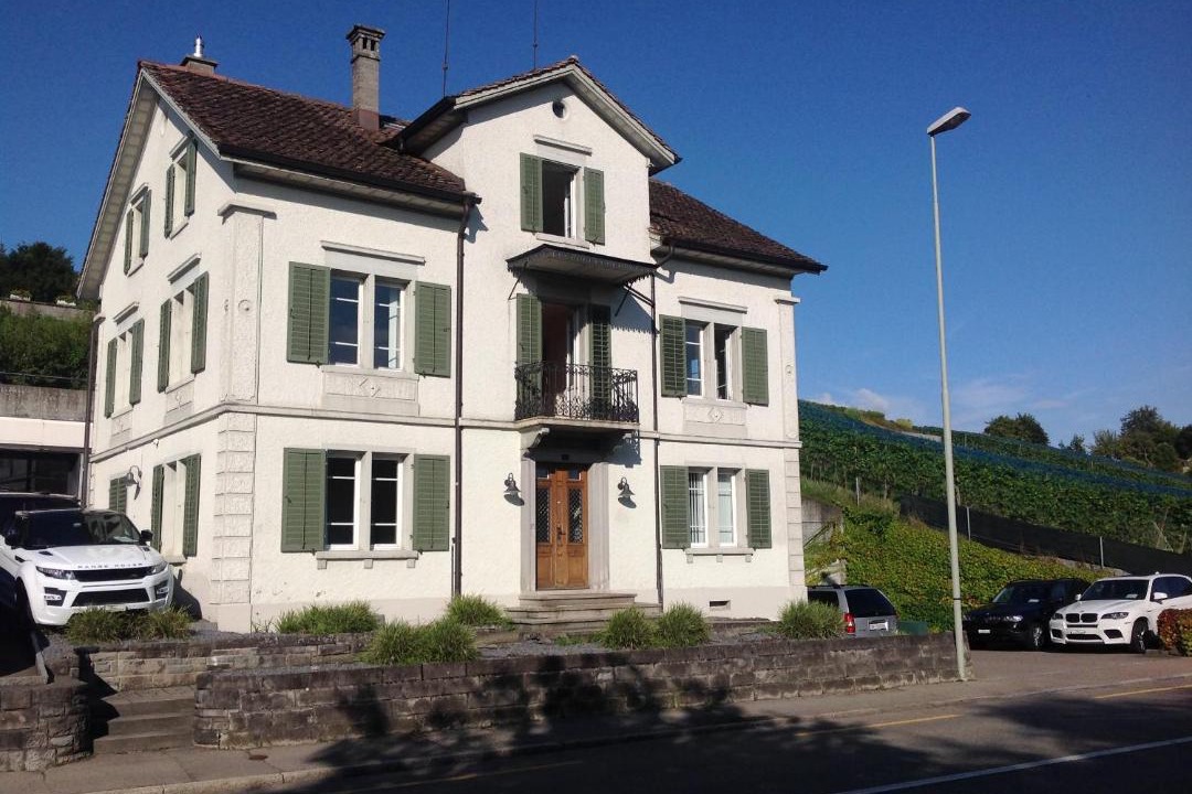 Photo of Others in Meilen District