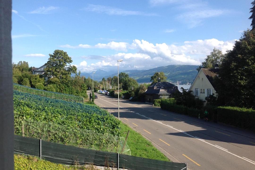 Photo of Others in Meilen District