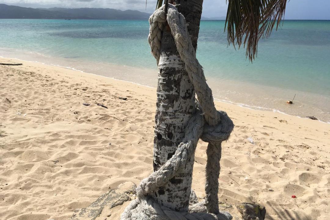 Photo of Outdoor in Montego Bay