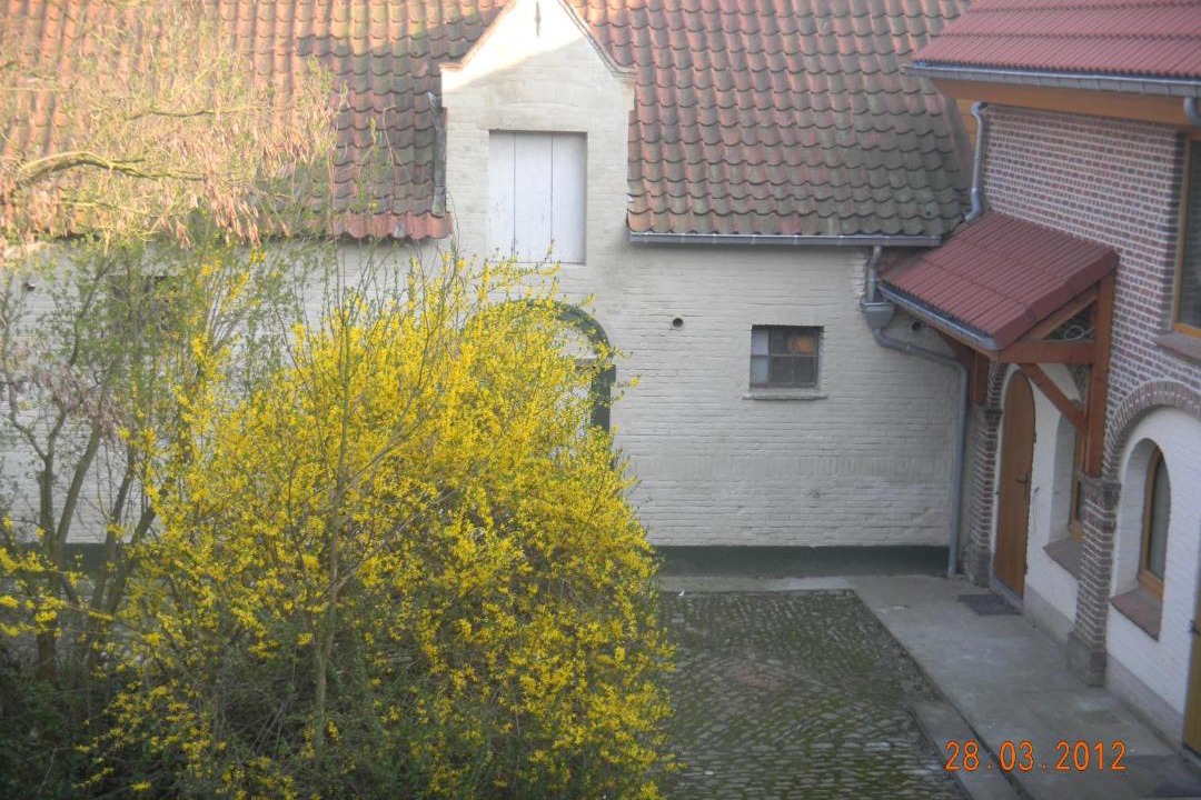 Photo of Others in Londerzeel