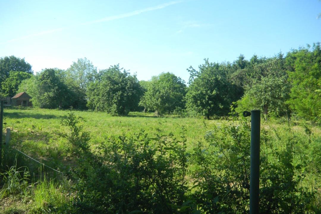Photo of Others in Londerzeel