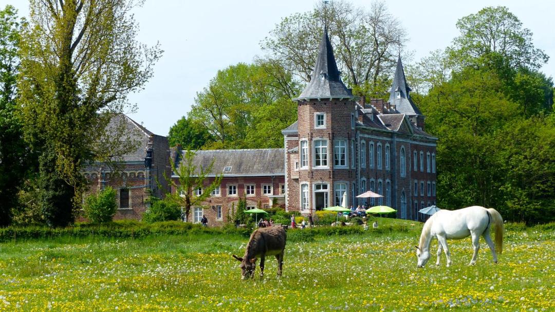 Photo of Others in Sint-Truiden