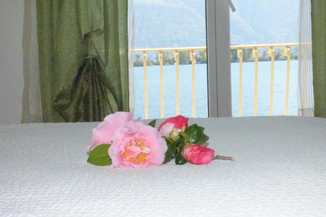 Photo of Others in Porto Ronco