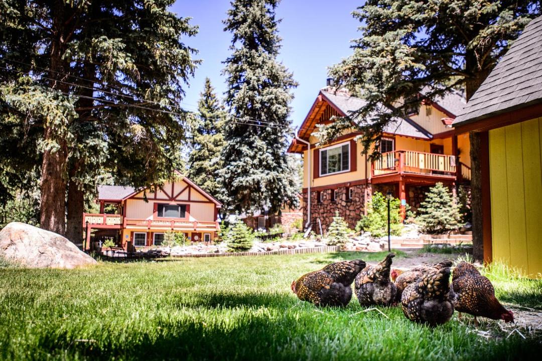 Photo of Others in Evergreen