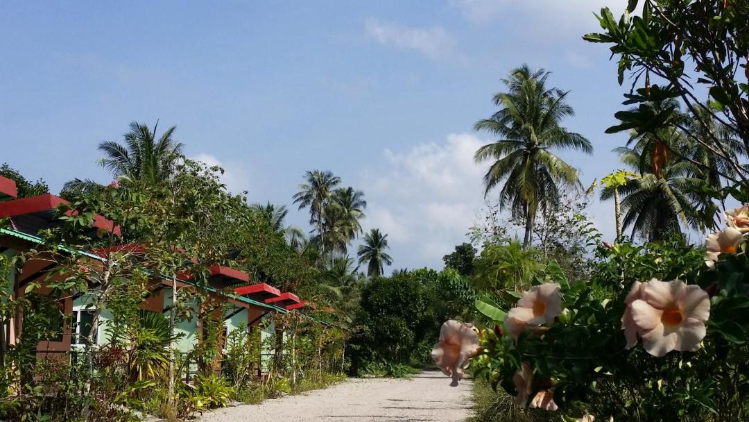 Photo of Others in Ban Pa Yang