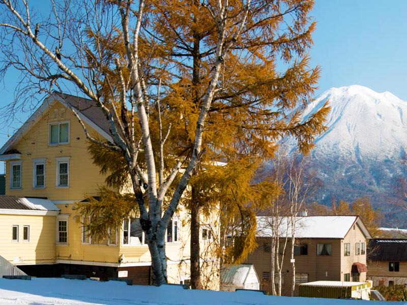 Photo of Buildings in Hirafu