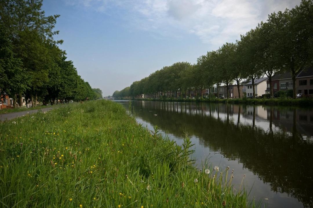Photo of Others in Mechelen