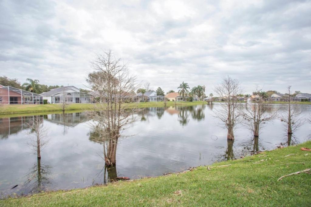 Photo of Outdoor in West Kissimmee