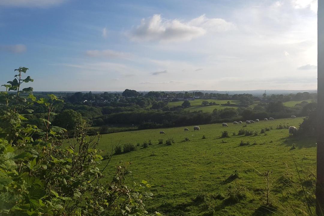 Photo of Outdoor in Kilgetty