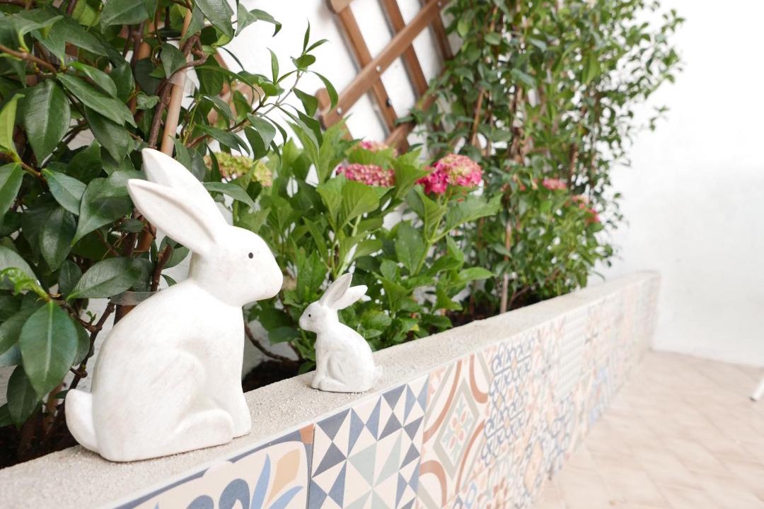 Photo of Patio Balcony in Santo Estevao
