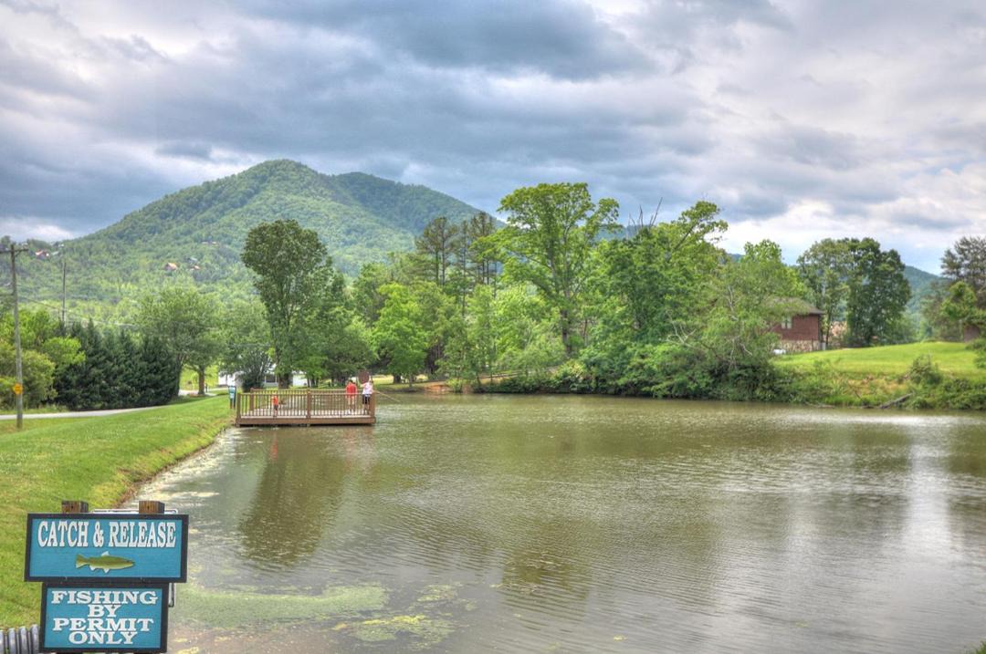 Photo of Outdoor in Townsend