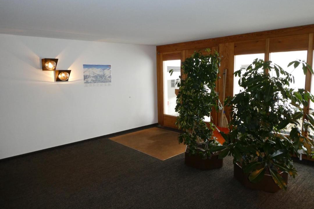 Photo of Others in Laax
