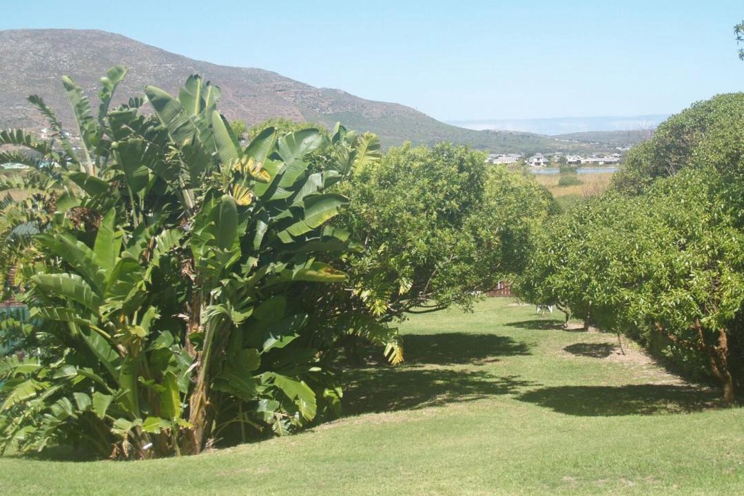 Photo of Others in Noordhoek