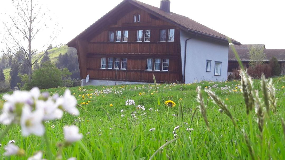 Photo of Buildings in Meistersrute