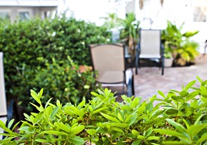 DeSoto Beach Gardens