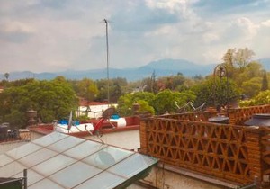 The Green Heart of Coyoacan