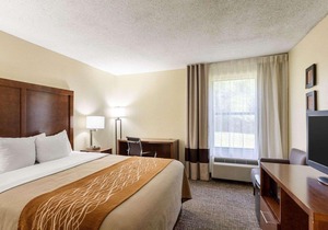 Quality Inn Olive Branch