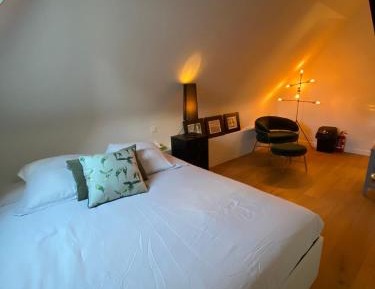 Deluxe Double Room with Shower