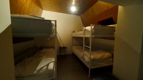 Bunk Bed in Male Dormitory Room 