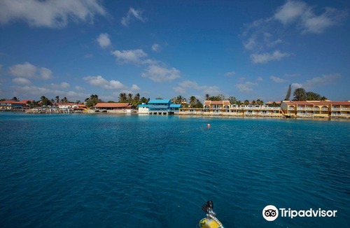 Playa Hotel | Divi Flamingo Beach Resort